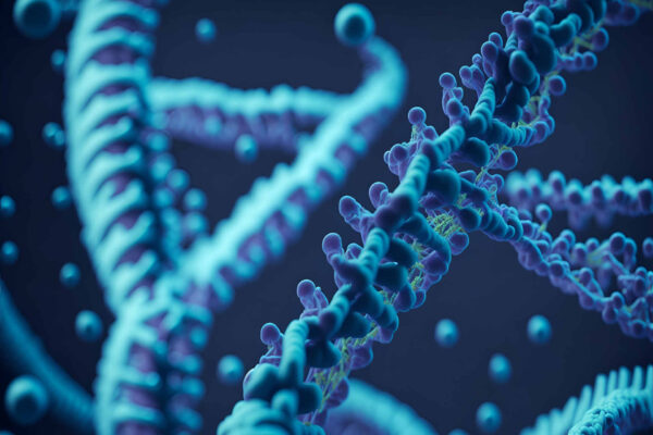 Un Meccano di origami a DNA per i nanobot del futuro