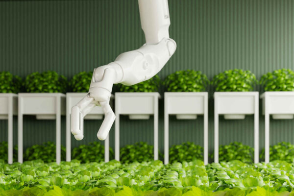 Il robot "tattile" cinese che può rivoluzionare l'agricoltura