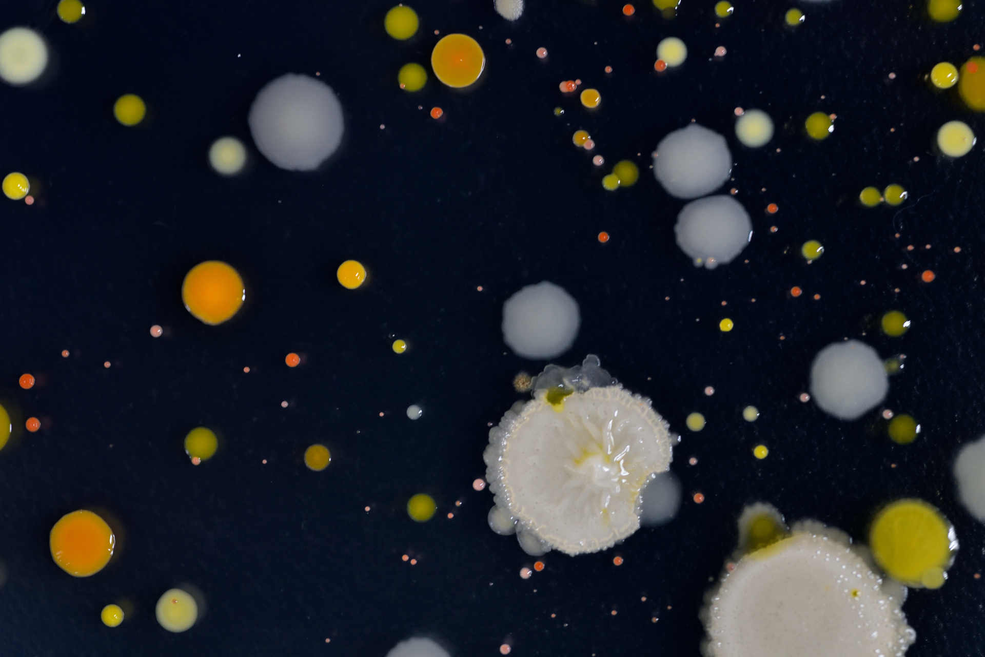 Come combattere la contaminazione da PFAS