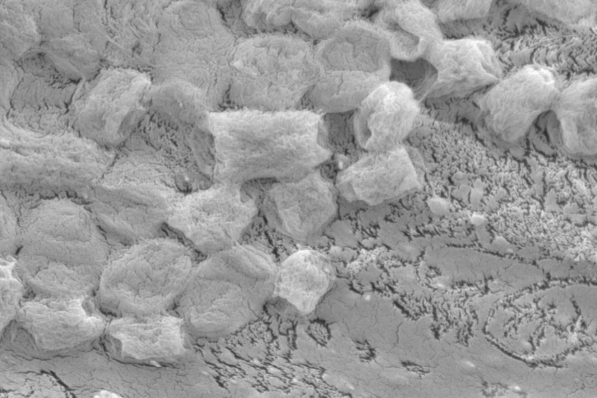 Rame e fibroina della seta per aria pulita al 99.9%