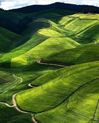 Ruanda: la terra delle mille colline