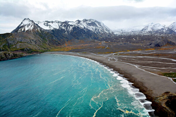 Franse Zuidelijke en Antarctische Gebieden tussen onderzoek, biodiversiteit en bescherming