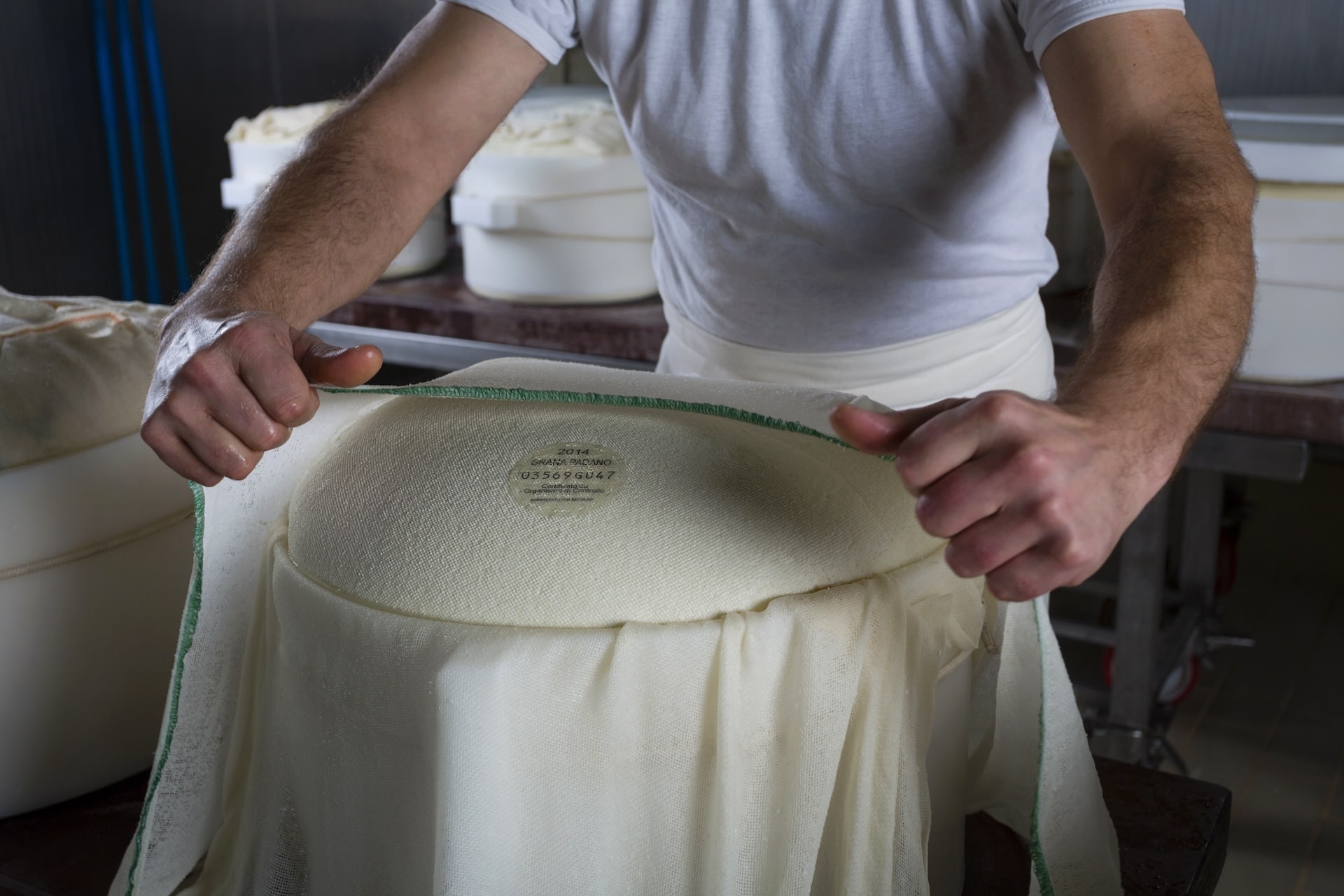 DOP economy, Grana Padano guida la crescita del settore