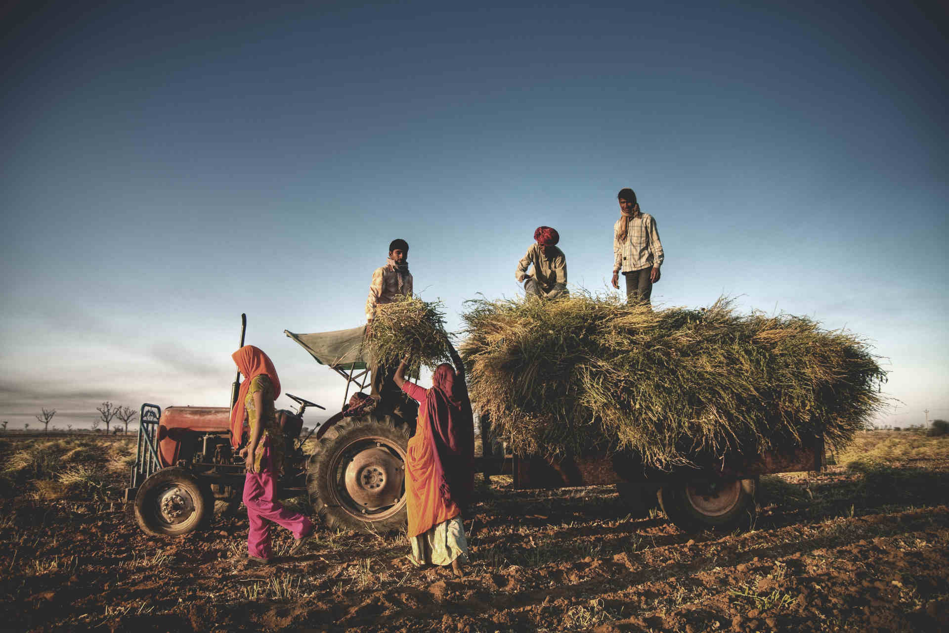 Il carbone e la sicurezza alimentare in India