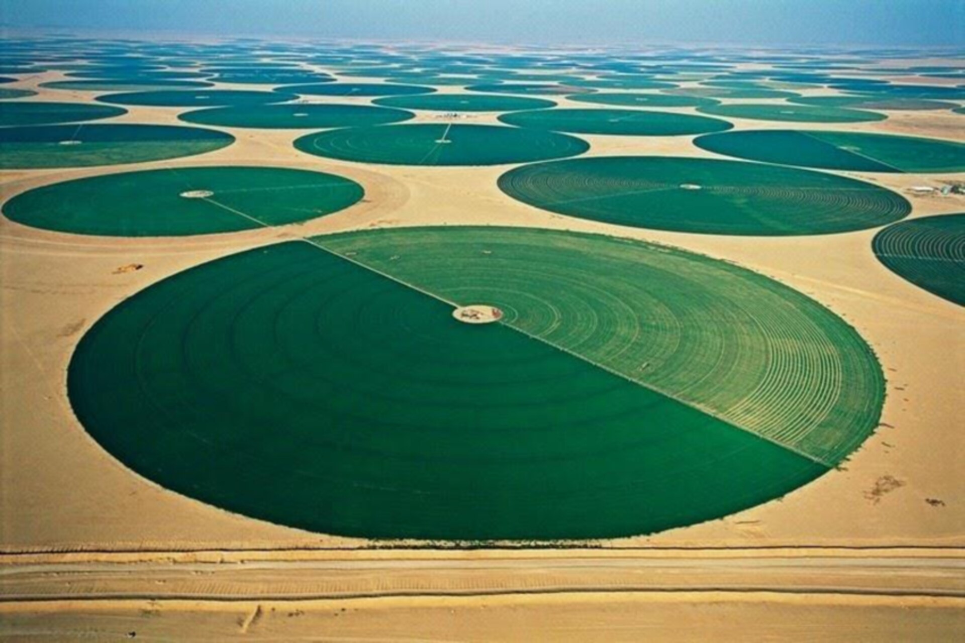 Potenza agricola high-tech: i sistemi di irrigazione a pivot in Arabia Saudita