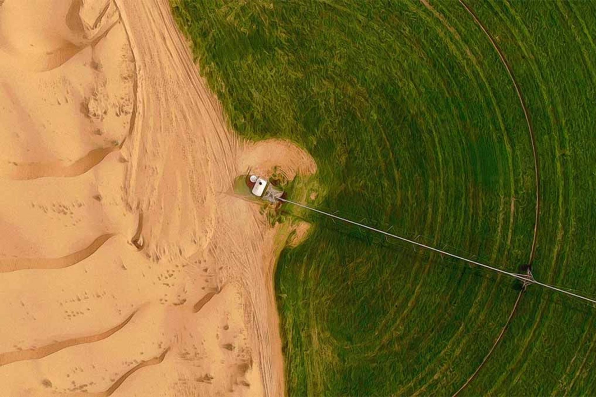 Potenza agricola high-tech: coltivazione idroponica, IA e automazione in Arabia Saudita
