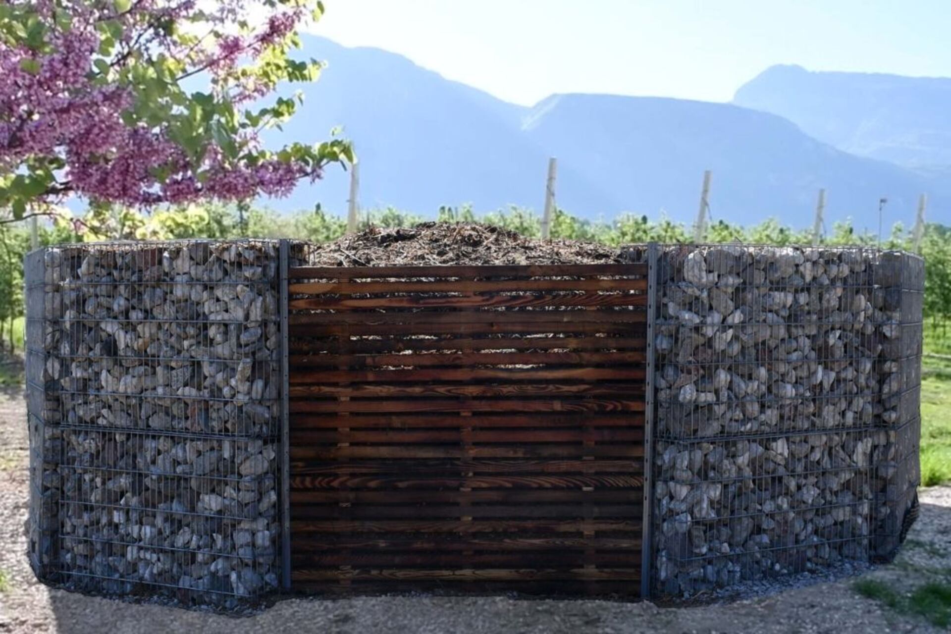 Dai vigneti all'energia: grazie al bioreattore installato al Leisenhof, gli scarti organici della viticoltura vengono trasformati