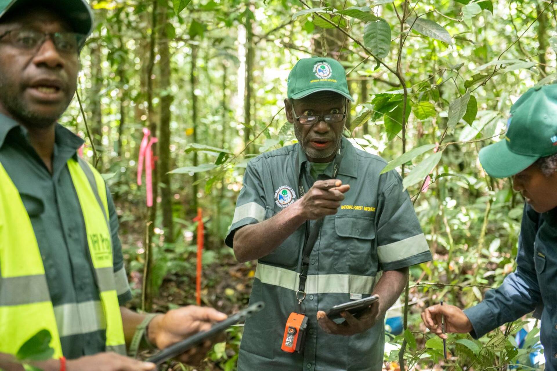 Papua Nuova Guinea: le comunità indigene sono custodi delle foreste, proteggendo le risorse naturali per le generazioni future