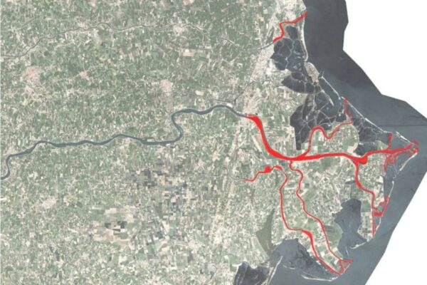 Delta del Po salvo con l’App antisale: la rivoluzione agritech