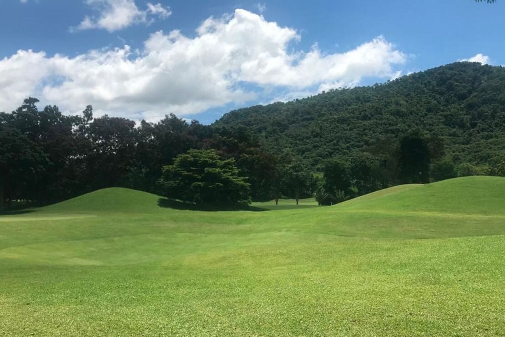 Thailandia: campi e boschi attorno il Silicon Tech Park