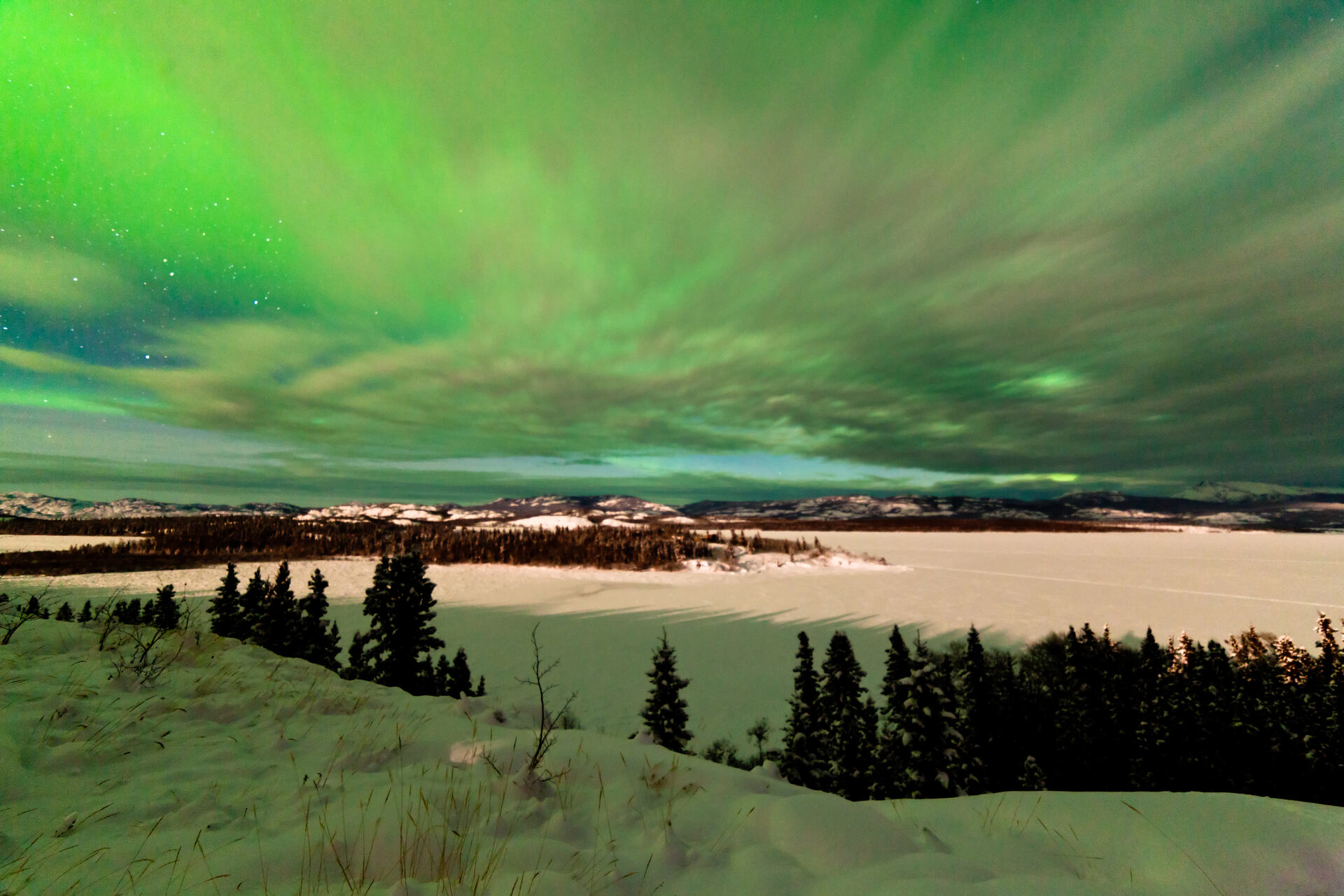 Yukon: verdi aurore boreali nel cielo sopra il lago Laberge