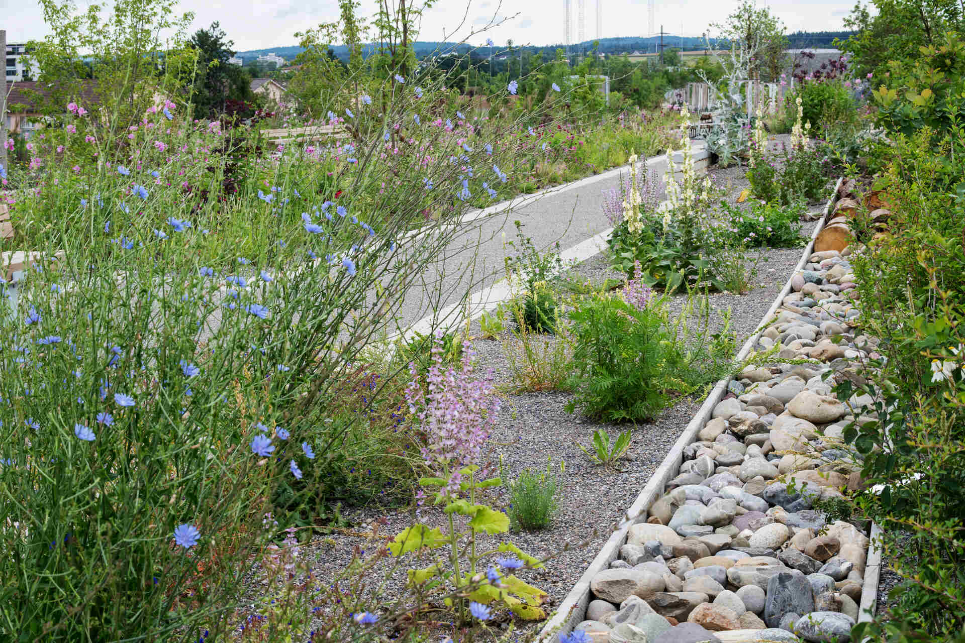 Con oltre 120.000 veicoli al giorno sotto i piedi, l’Überlandpark rappresenta una rivoluzione urbana: un chilometro di parco lineare che abbatte il rumore e favorisce la biodiversità, creando un corridoio ecologico tra le vie della città