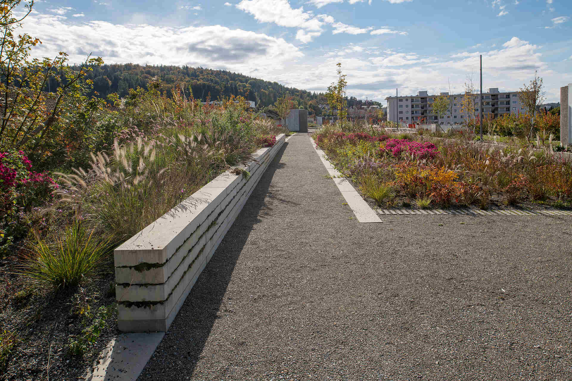 Il nuovo Überlandpark è il cuore verde di Schwamendingen, sorto sopra una galleria fonoassorbente che riduce l’inquinamento e restituisce spazio ai cittadini. Un esempio concreto di infrastruttura resiliente a beneficio dell’ambiente urbano