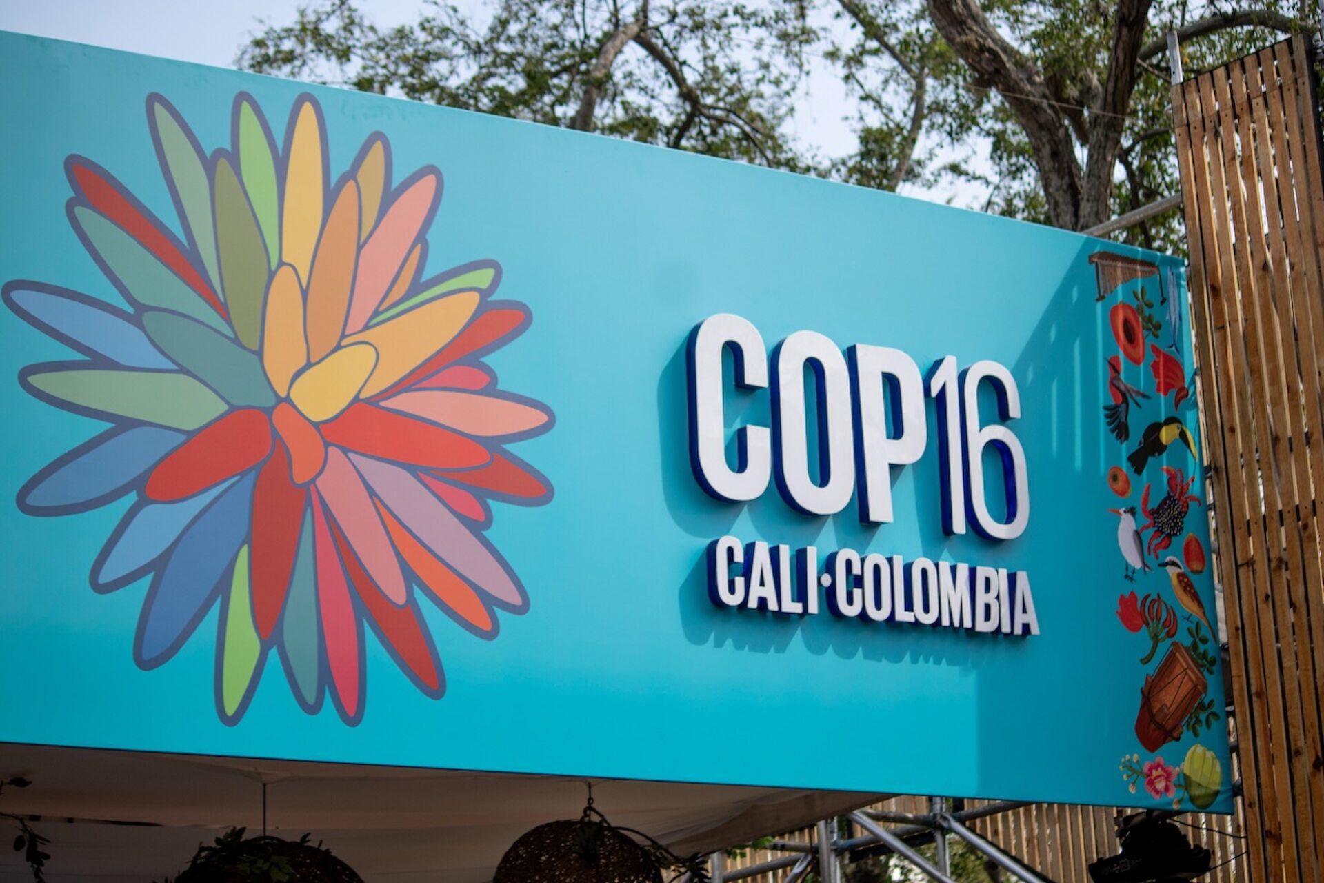 COP16 e CESVI: a Cali l’ONU e l’associazione di Bergamo lanciano alleanze fra tutela ambientale e diritti umani, con progetti innovativi e sfide globali