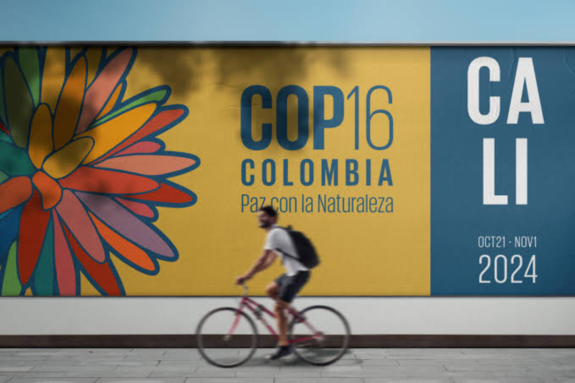 COP16 e CESVI: a Cali l’ONU e l’associazione di Bergamo lanciano alleanze fra tutela ambientale e diritti umani, con progetti innovativi e sfide globali