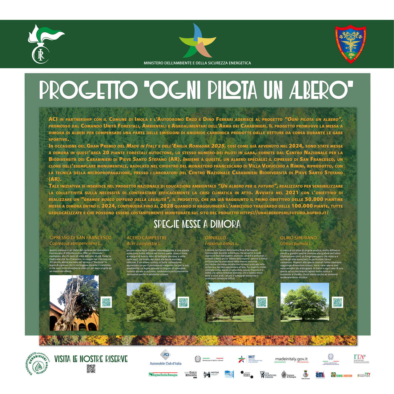 Ogni pilota un albero: la bacheca dell’edizione 2025 con Cipresso di San Francesco, Orniello, Acero Campestre e Olmo Siberiano messi a dimora a Imola