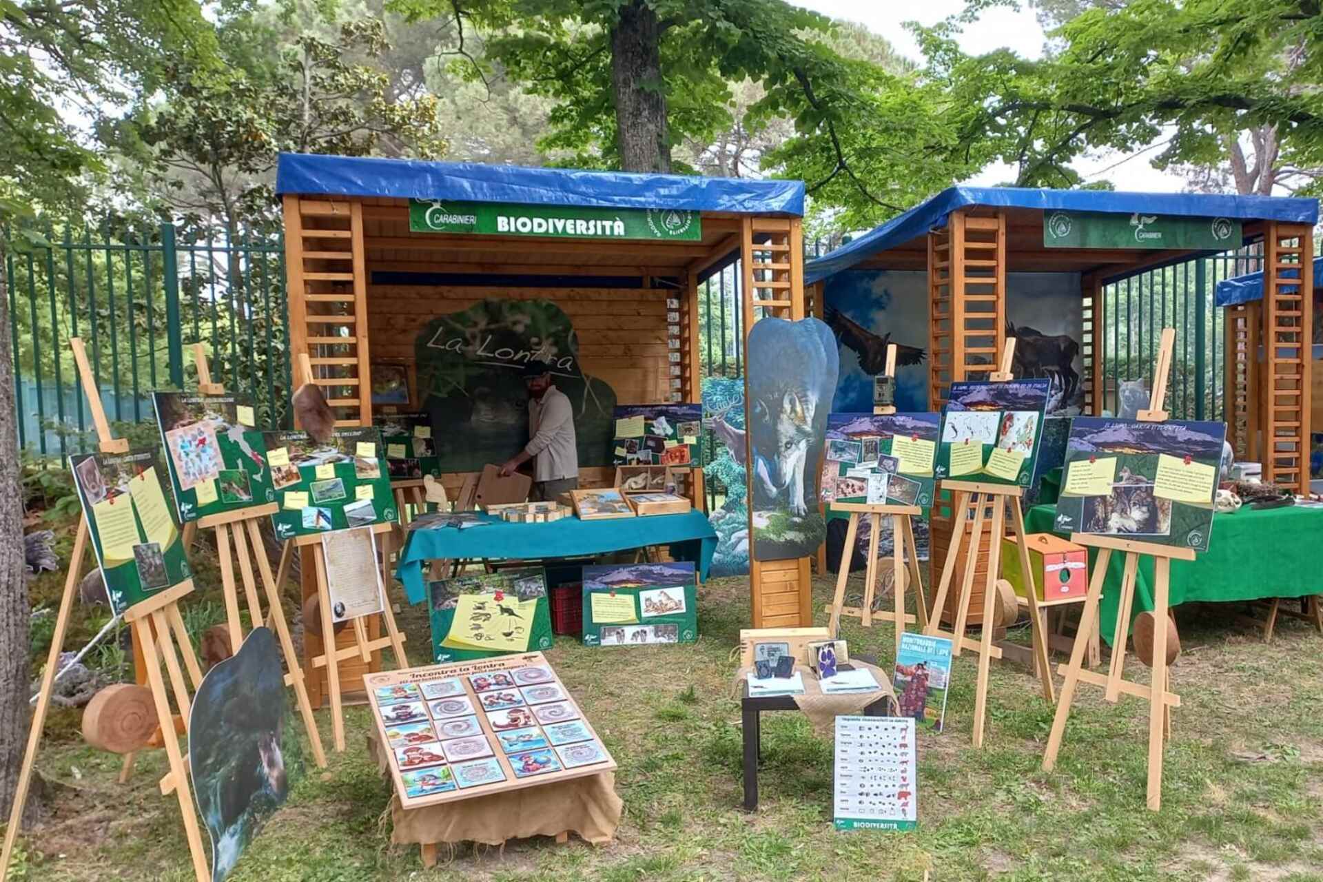 Ogni pilota un albero: nel Parco delle Acque Minerali di Imola, il Villaggio della Sostenibilità ha offerto esperienze educative su ambiente, legalità e biodiversità