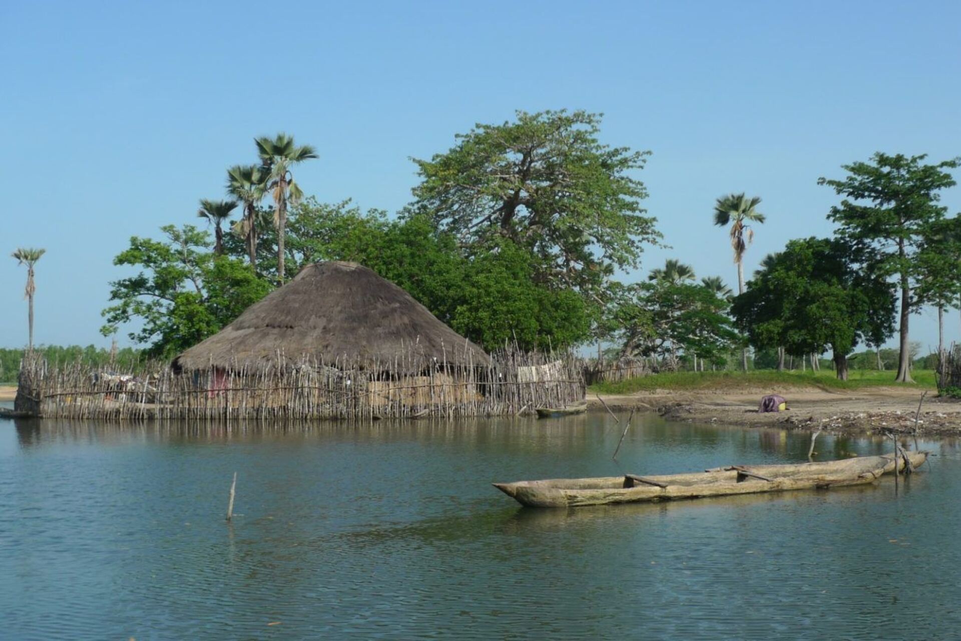 Guinea-Bissau: la vita quotidiana nelle zone umide del Paese africano ruota attorno a ecosistemi fragili e preziosi
