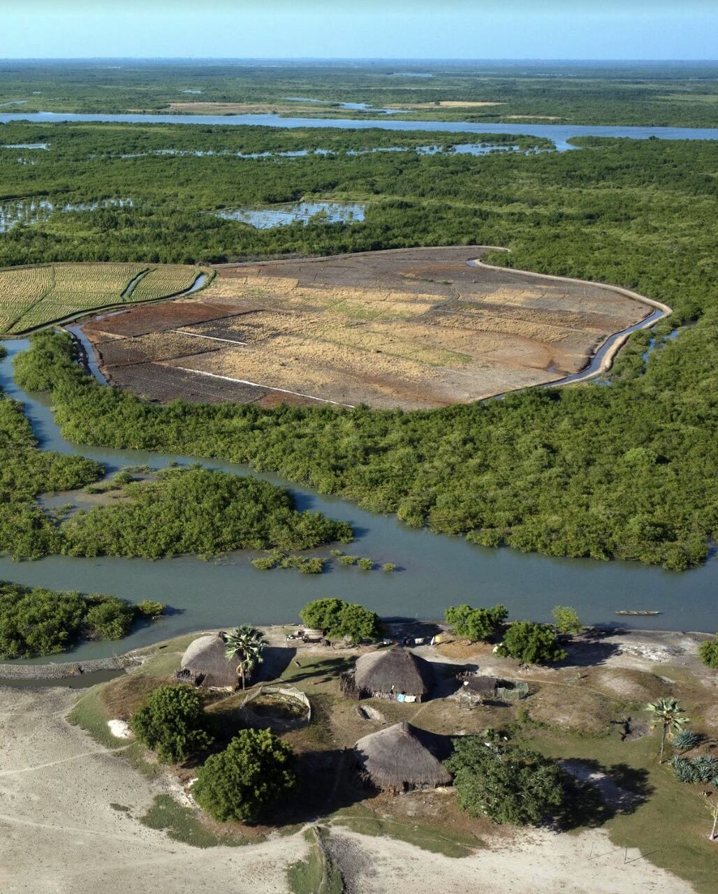 Guinea-Bissau: l’approccio paesaggistico del progetto TRI ha permesso di rigenerare risaie e mangrovie in un’ottica sistemica