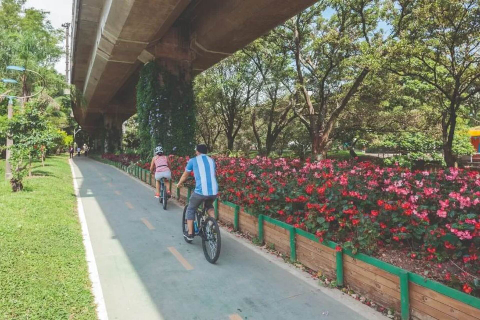 Medellín: nuova pista ciclabile immersa nel verde in Colombia