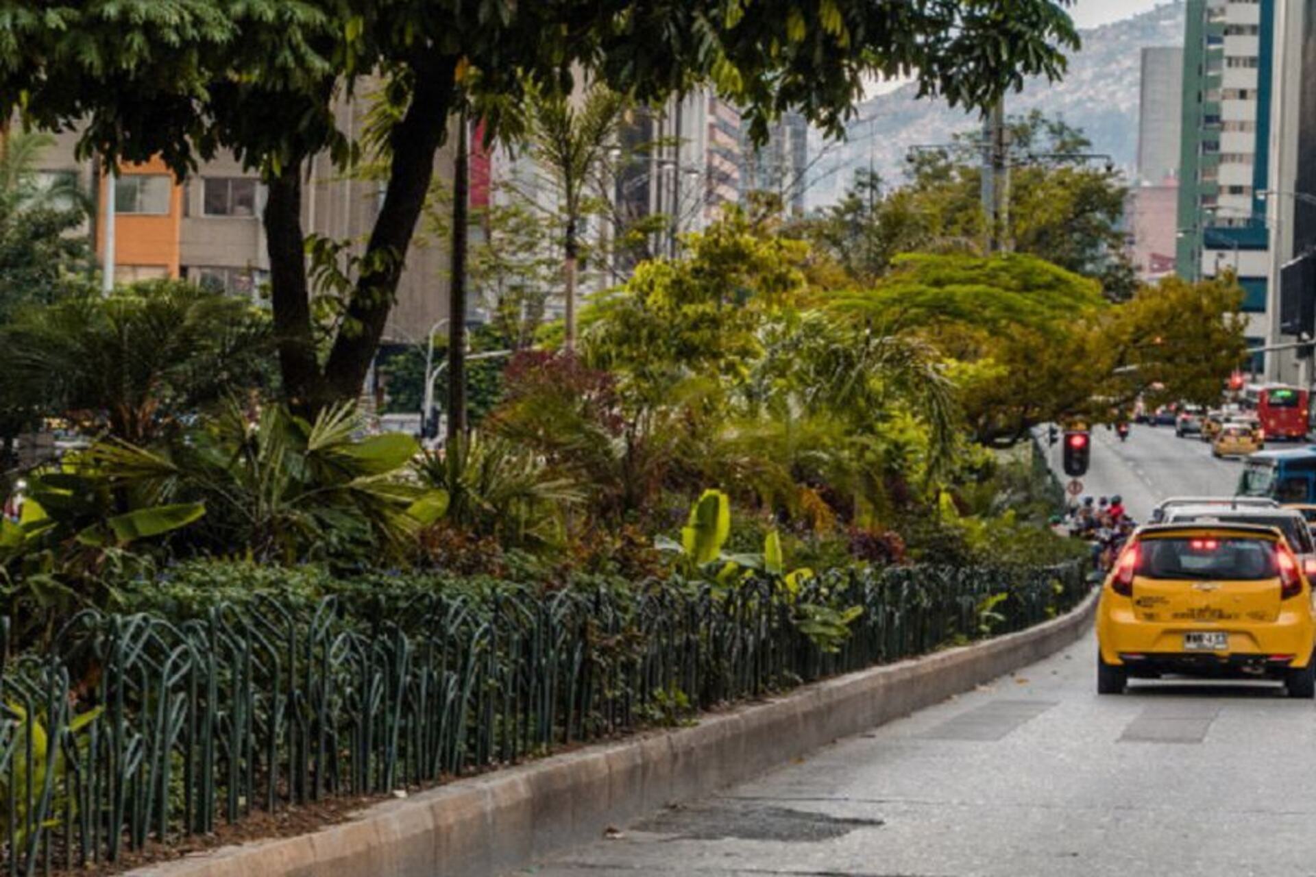 Medellín: pavimentazione drenante, aiuole verdi e nuove alberature