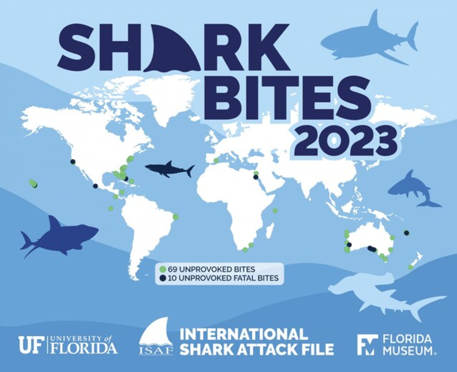 Squali: secondo l’International Shark Attack File, nel 2023 si sono registrati 69 attacchi non provocati