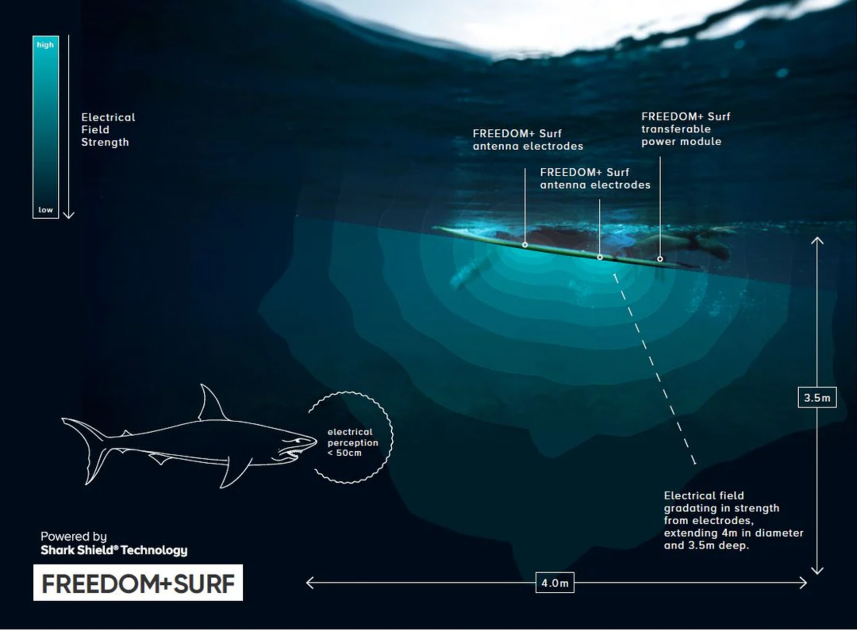 Squali: il dispositivo “Shark Shield Ocean Guardian FREEDOM+ Surf” in Australia
