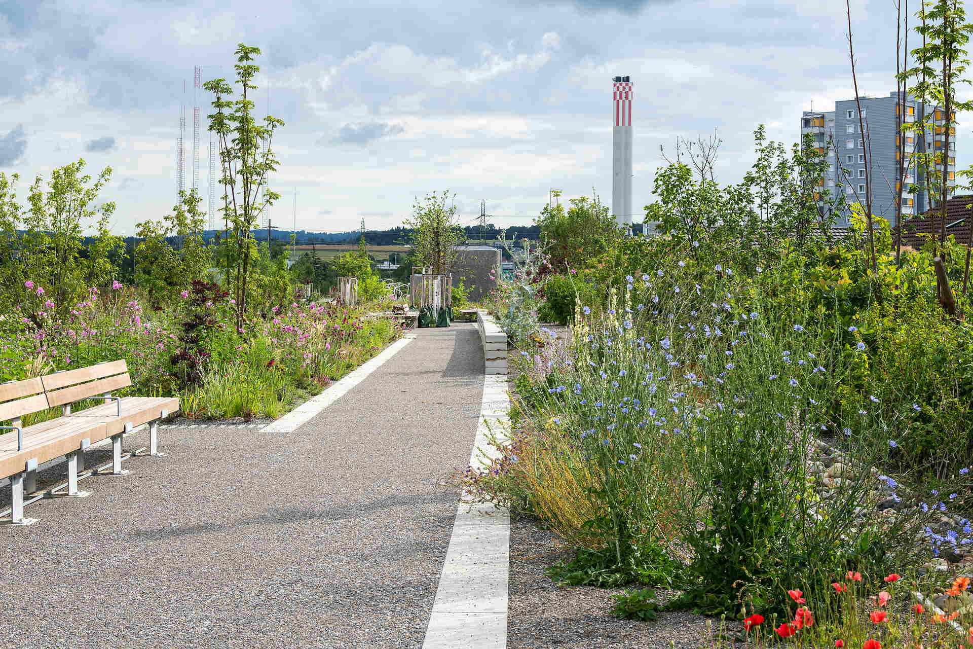 L’Überlandpark di Zurigo è un parco urbano costruito sopra un’autostrada interrata. Un esempio virtuoso di rigenerazione urbana e sostenibilità ambientale, trasforma il traffico in verde, favorendo la mobilità dolce e migliorando la qualità della vita nel quartiere Schwamendingen