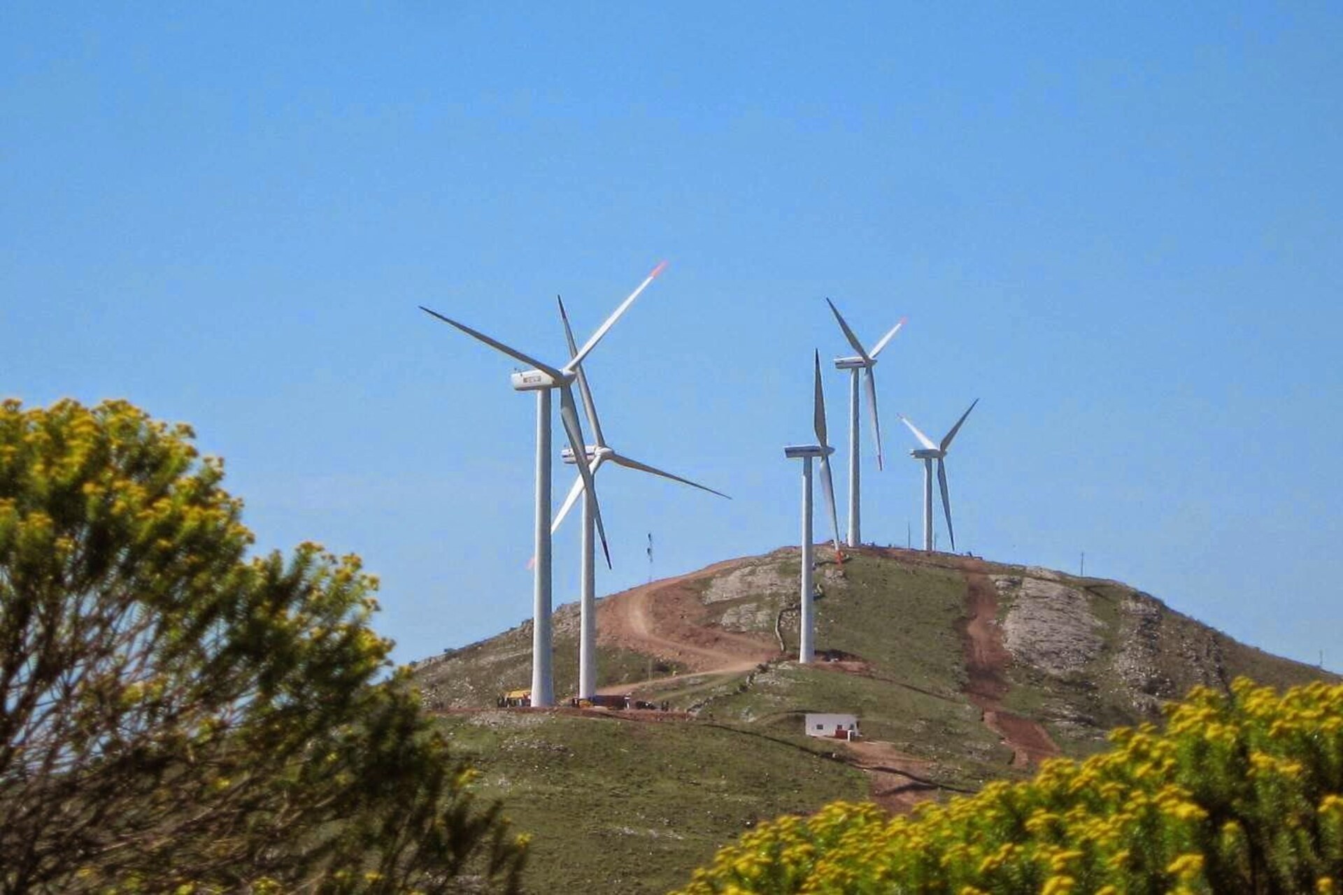Uruguay: il parco eolico di Peralta, tra i più grandi del Paese