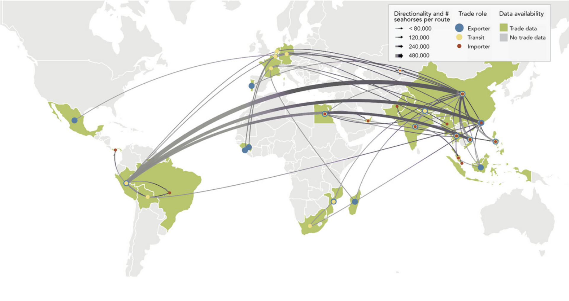 Contrabbando di cavallucci marini: la mappa globale
