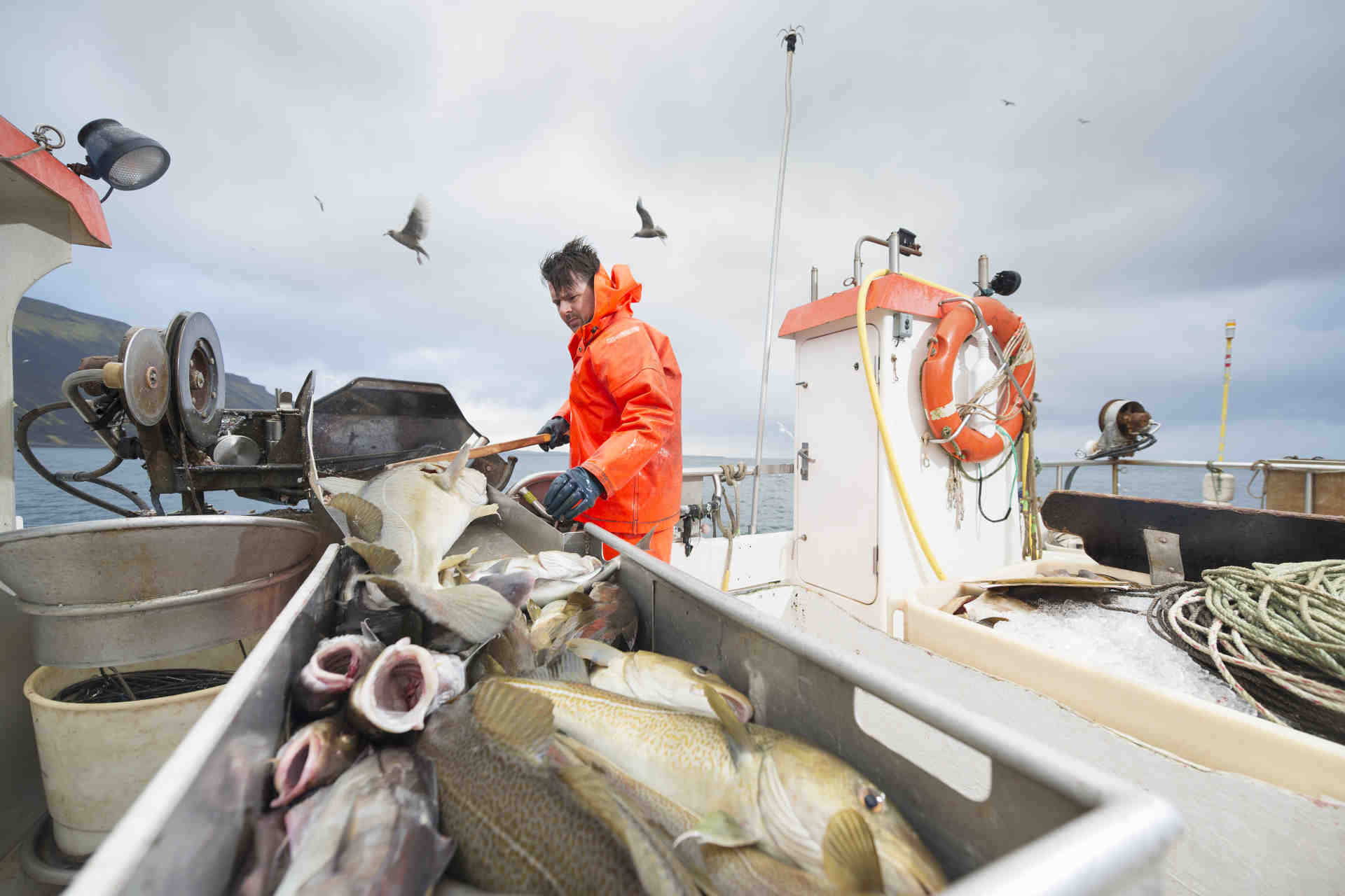 L'Ocean Stewardship Fund e la pesca sostenibile
