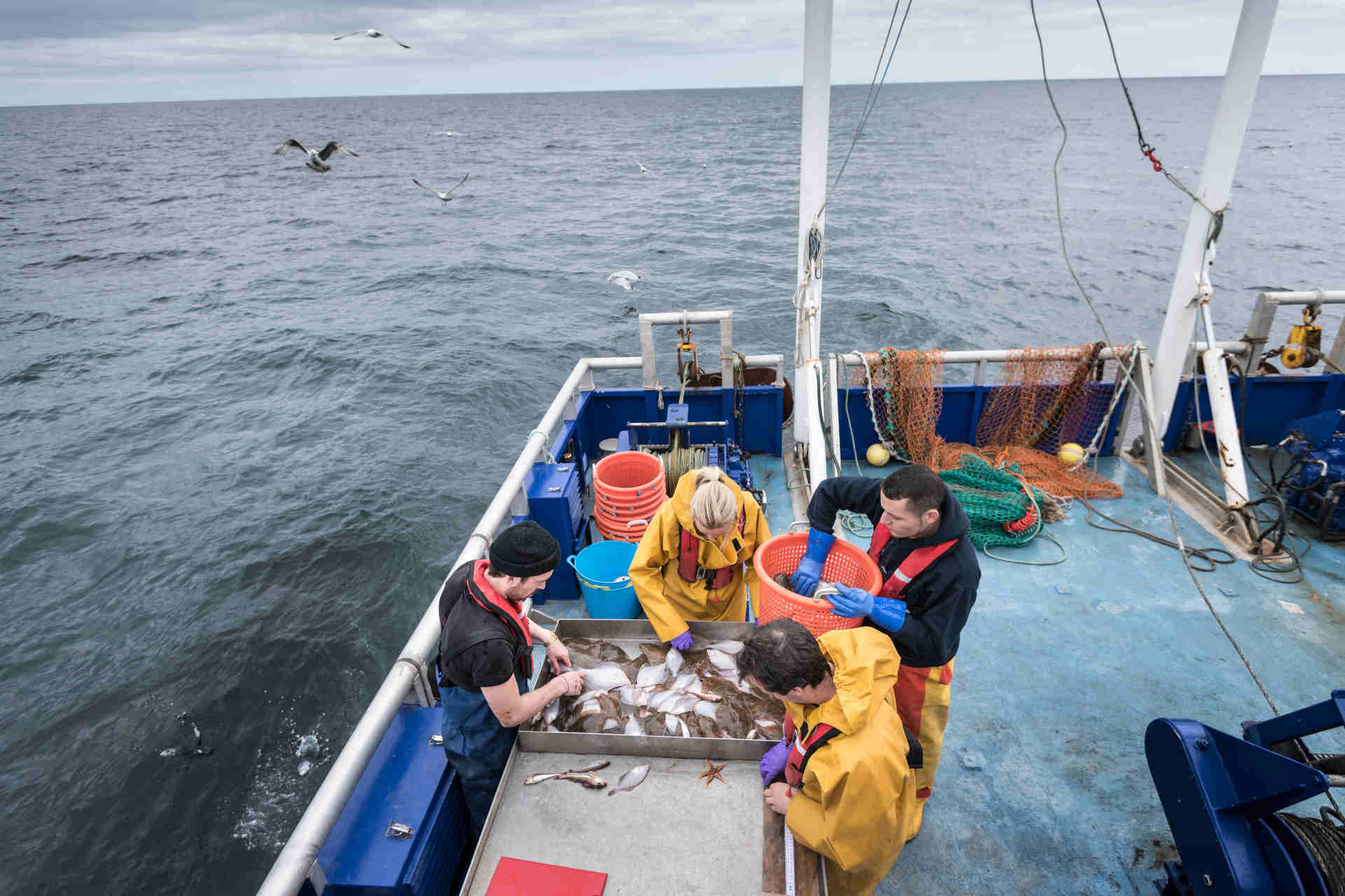Come lavorare per una pesca sostenibile