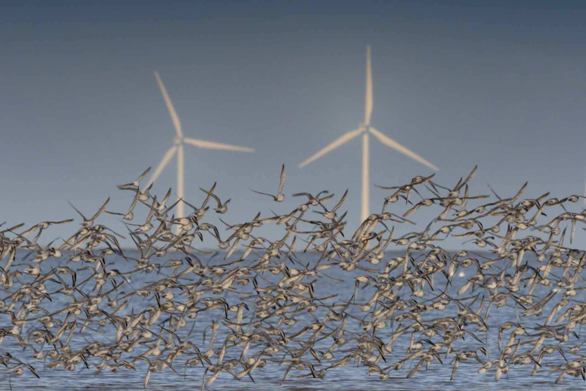 L'Europa verso la Conferenza ONU sull'Oceano