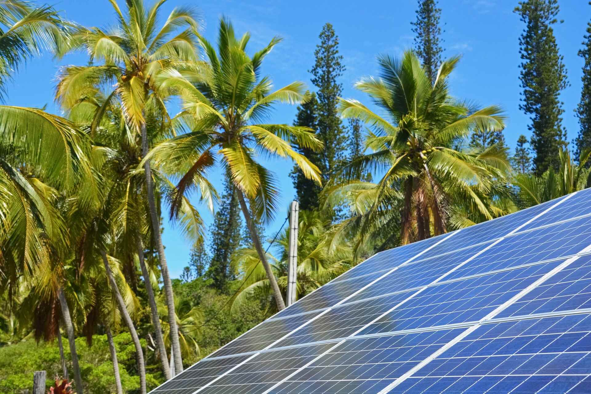 Kiribati: pannelli solari e sistemi di distillazione accanto alle palme trasformano acqua salata in acqua potabile, unendo tecnologia pulita e comunità locali per un futuro più sostenibile