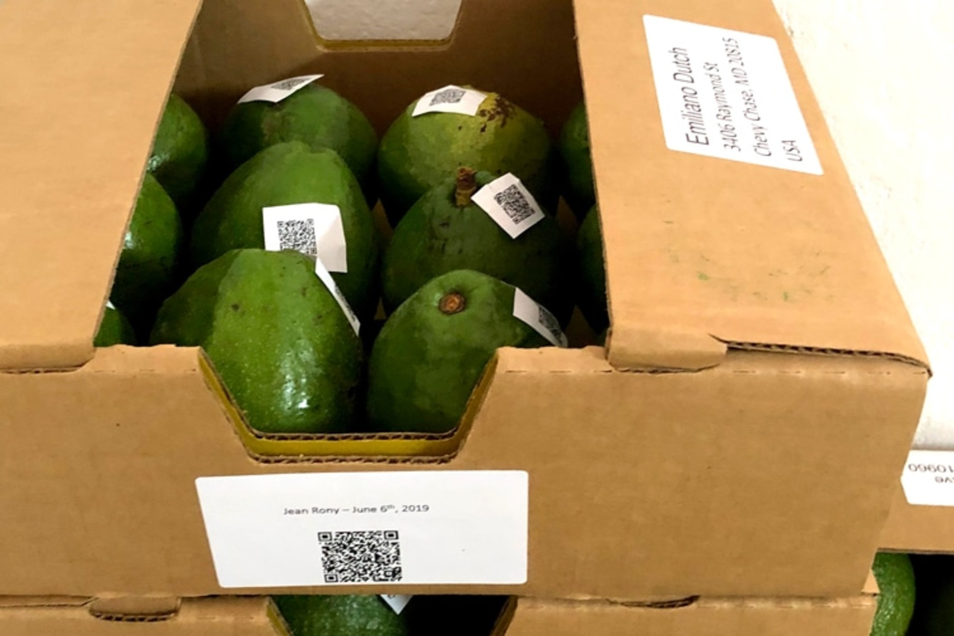 Blockchain ad Haiti: supporta la tracciabilità dei prodotti agricoli, riduce gli intermediari, garantisce pagamenti equi e incentiva l’imprenditorialità tra le comunità colpite da disastri