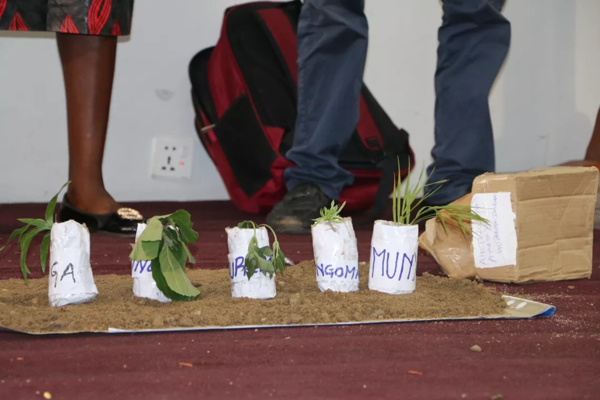 Giovani burundesi: protagonisti di una nuova era di cambiamento, con idee imprenditoriali e soluzioni creative per l'ambiente, l'agricoltura e la tecnologia