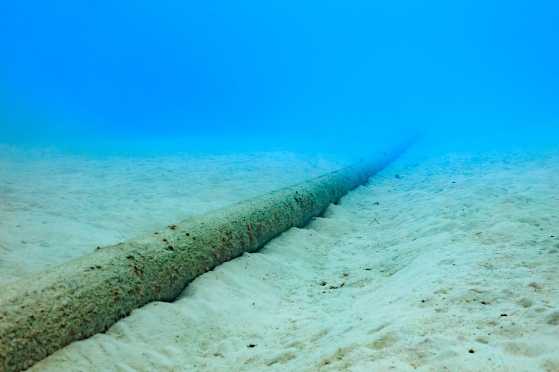 Humboldt: progetto di cavo sottomarino strategico per integrare il Cile nell’economia digitale globale, riducendo le distanze e favorendo scambi di dati rapidi e sicuri con l’Australia