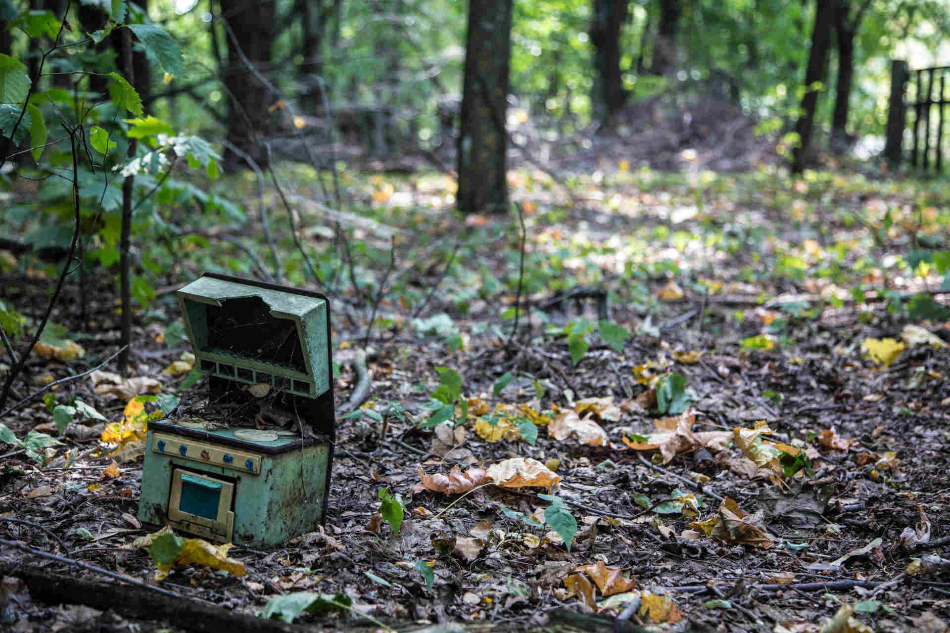 Dal disastro nucleare di Chernobyl una scoperta sensazionale