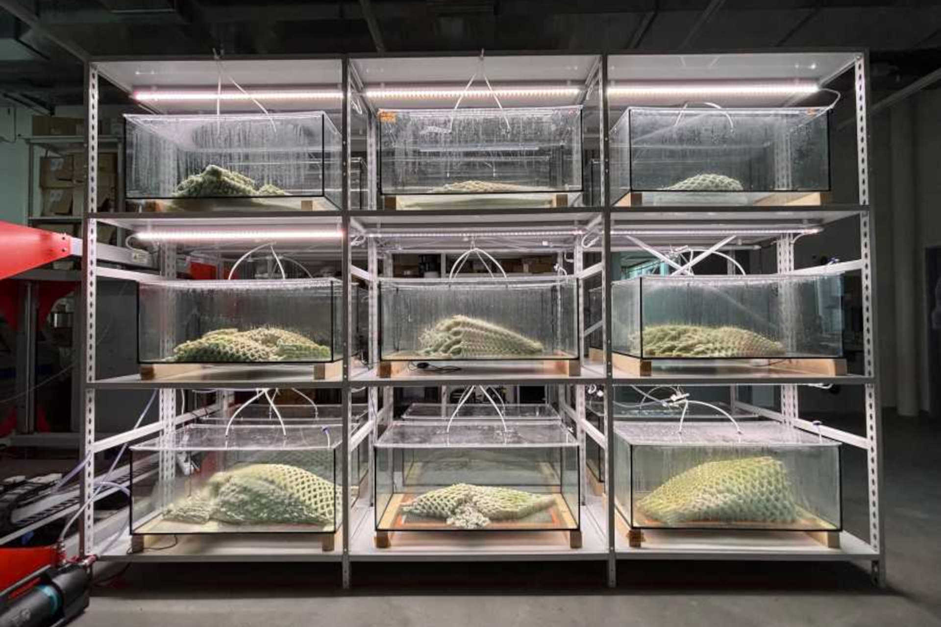 Il materiale vivente in mostra alla Biennale di Venezia