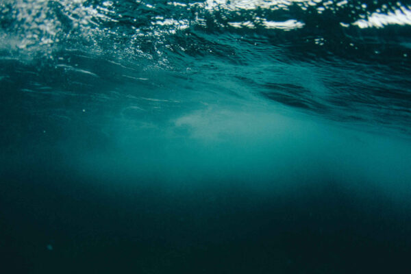 L’oceano sta diventando più scuro: il nuovo studio