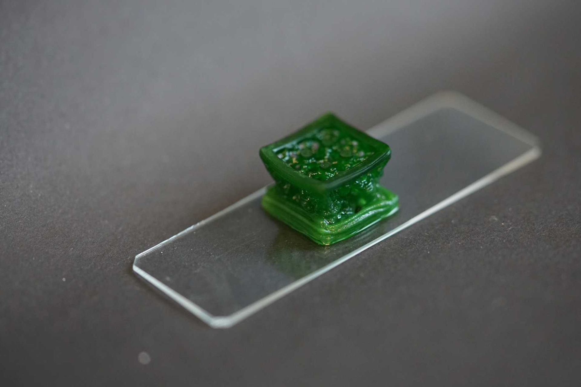 Cianobatteri incapsulati nell'idrogel stampato in 3D