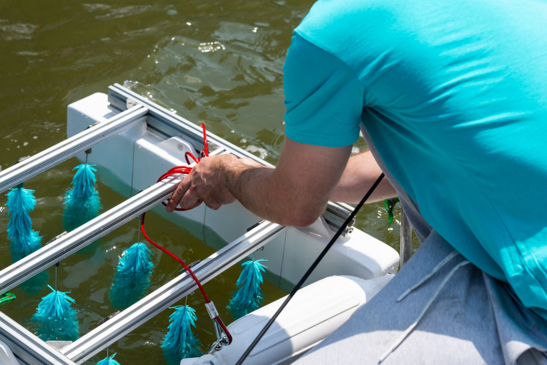 NOAA e Sea Grant: iniziative sostenibili per la salvaguardia degli ecosistemi marini attraverso la scienza, la tecnologia e l’impegno civico, affrontando la crisi globale dell’inquinamento da plastica
