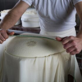 A Parma si forma la nuova generazione dell’impresa casearia