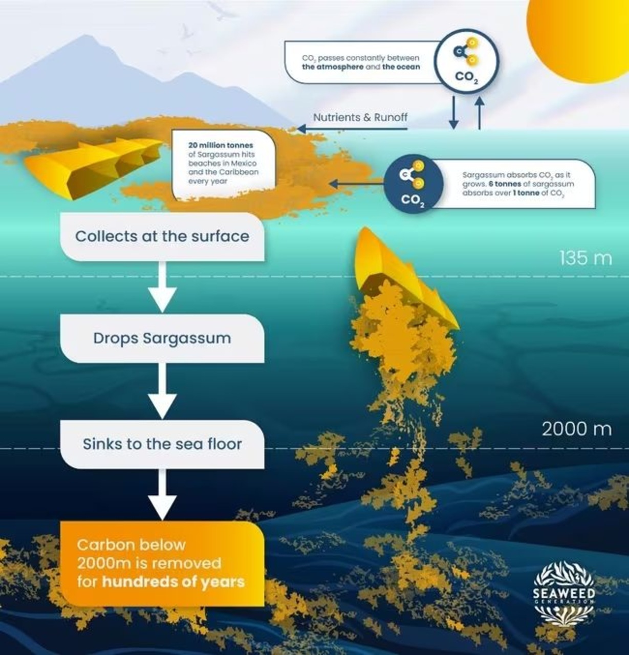 Guadalupa: startup locali, reti civiche e istituzioni pubbliche collaborano per trasformare il paesaggio insulare in un ecosistema innovativo, dove sostenibilità, mobilità elettrica e prevenzione dei rischi naturali guidano la crescita