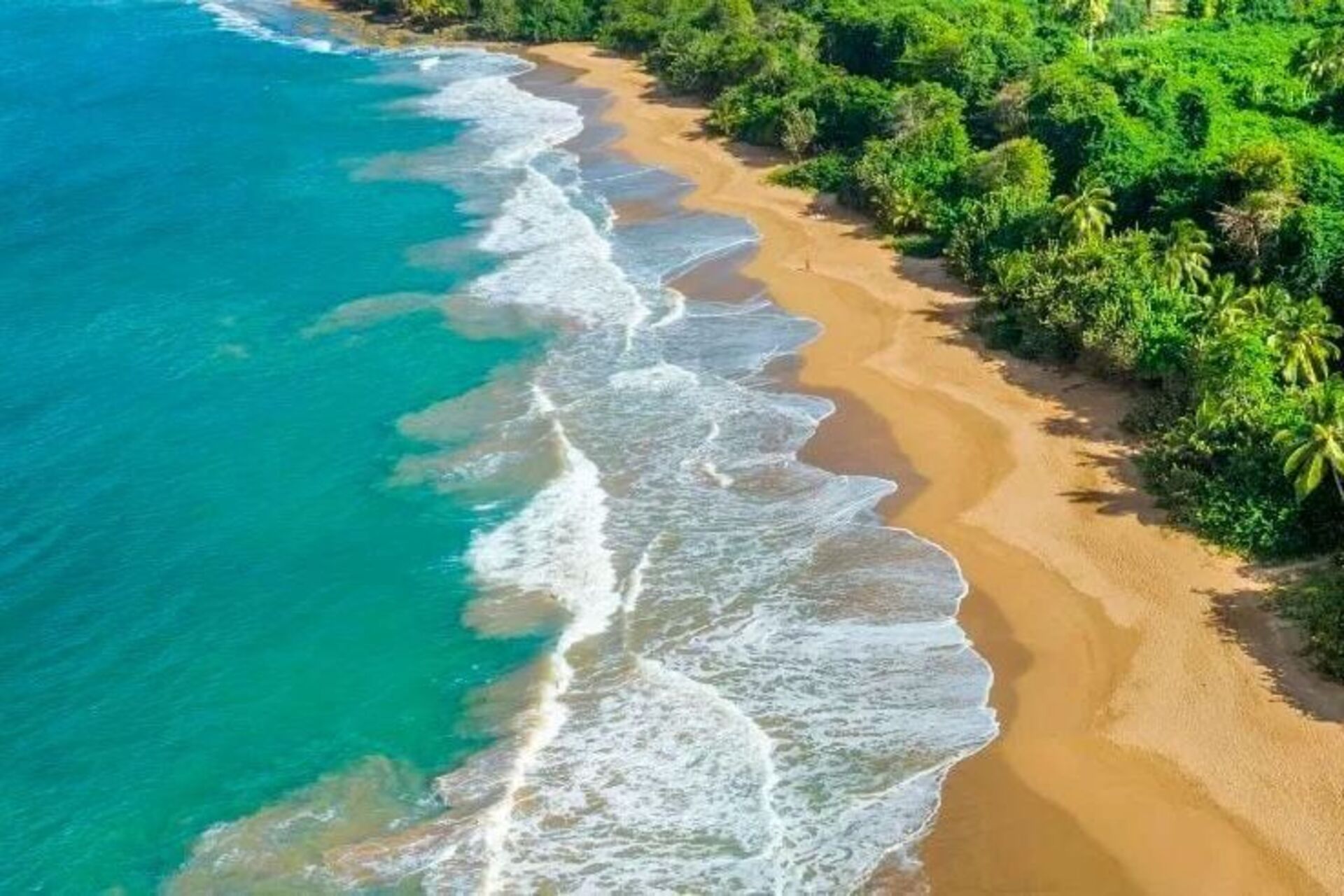 Guadalupa: l’isola francese d’oltremare diventa laboratorio di innovazione ambientale e tecnologica, puntando su energie rinnovabili, intelligenza artificiale e sinergie regionali per rafforzare la resilienza e l’inclusione territoriale