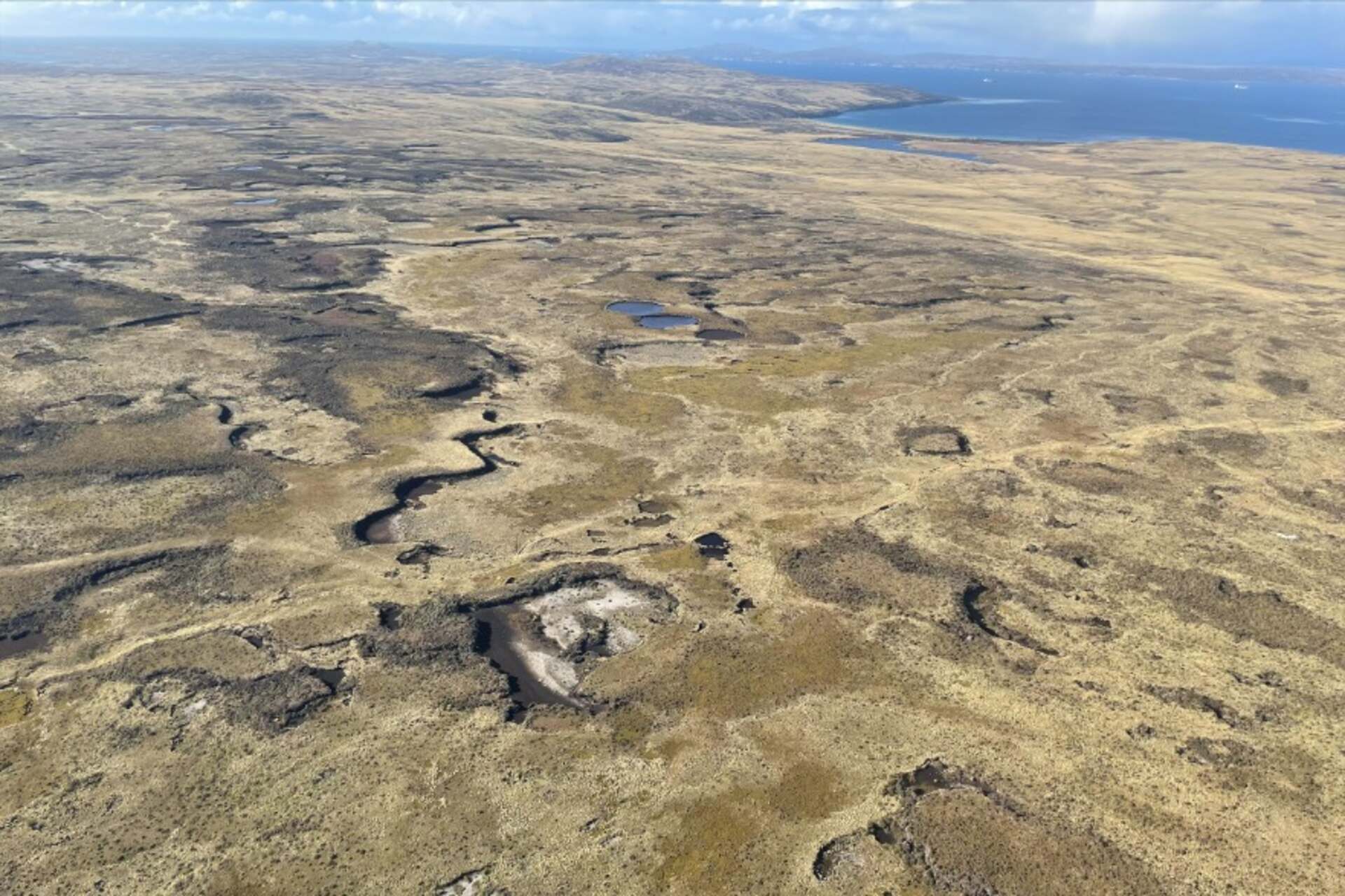 Piano delle Falkland: vaste distese di torbiere e ambienti umidi si estendono sotto cieli ventosi, rivelando un ecosistema unico e prezioso per lo studio dei cambiamenti climatici e la conservazione del carbonio a livello globale