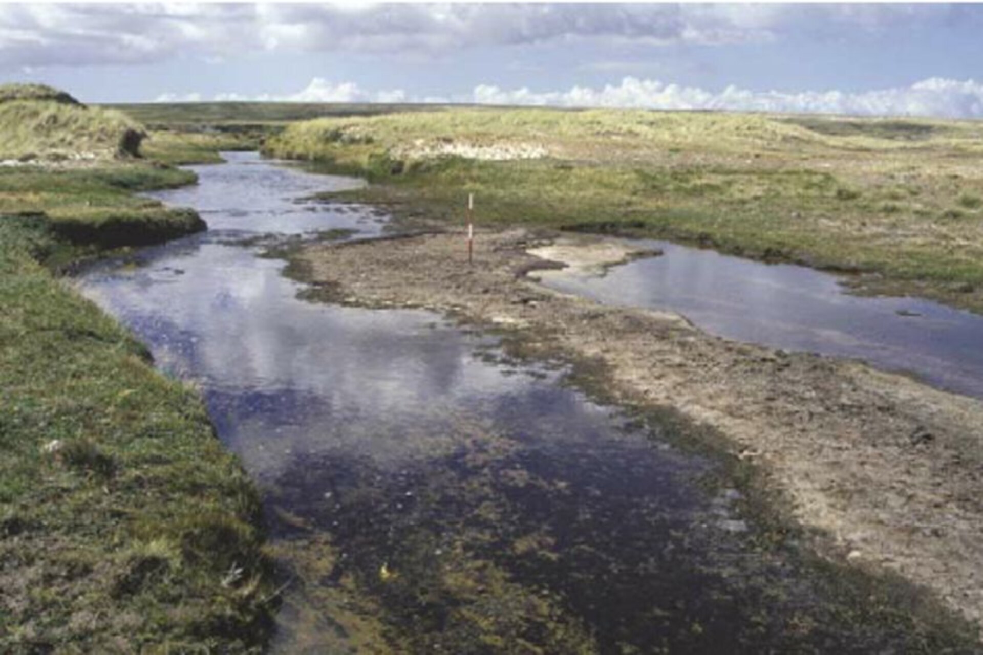 Piano delle Falkland: territorio remoto e strategico, ricco di biodiversità e depositi torbosi, oggi al centro di progetti scientifici internazionali per comprendere l’impatto del riscaldamento globale su ecosistemi delicati e poco esplorati