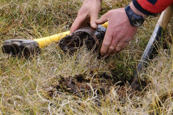 Dalle torbiere un tesoro verde: il piano delle Isole Falkland