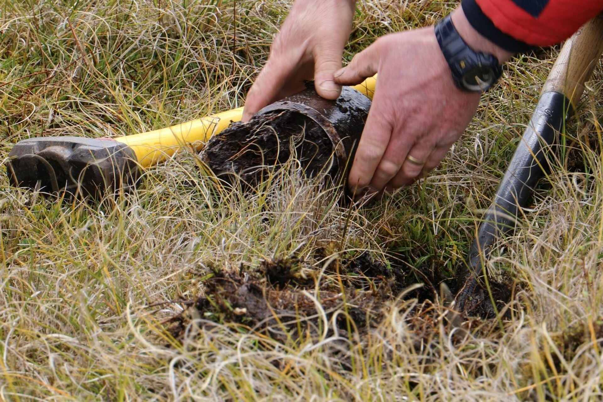 Piano delle Falkland: territorio remoto e strategico, ricco di biodiversità e depositi torbosi, oggi al centro di progetti scientifici internazionali per comprendere l’impatto del riscaldamento globale su ecosistemi delicati e poco esplorati
