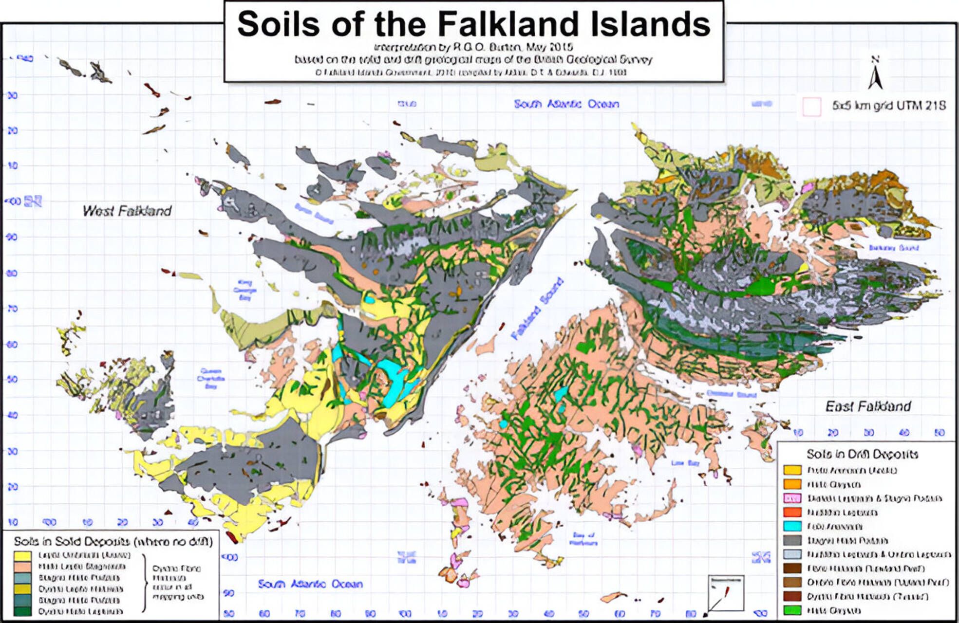 Piano delle Falkland: un paesaggio modellato da millenni di trasformazioni ambientali, dove affiorano resti fossili e sedimenti che raccontano l’evoluzione climatica dell’emisfero sud e la sorprendente scoperta di una foresta pluviale sepolta